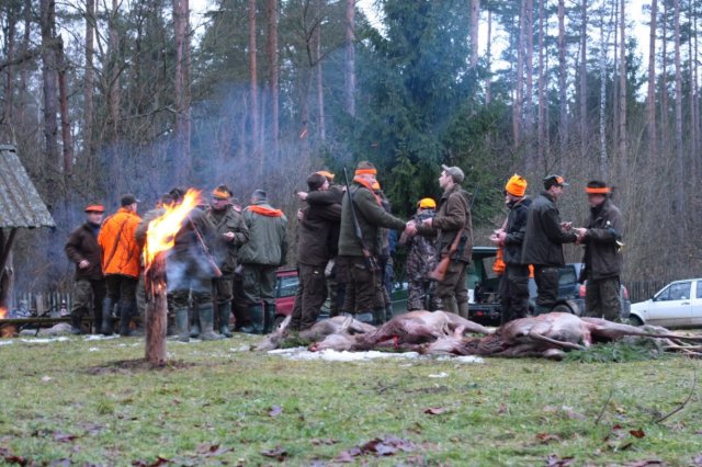 Polowanie Wigilijne 2013